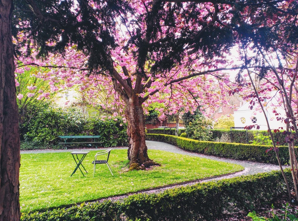 Begijnhof, un jardín de paz IMG_20160430_164111