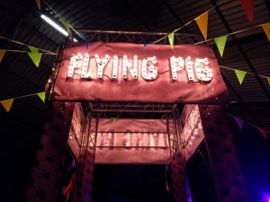 flying-pigs