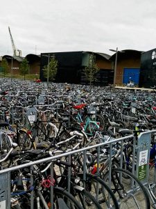bicis