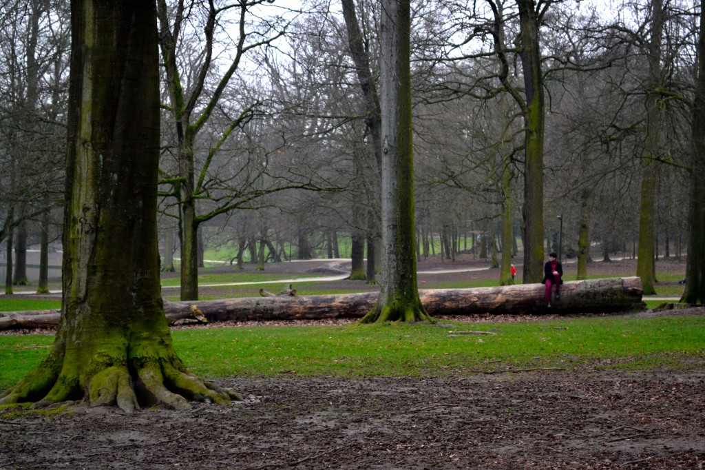 Bois de la Cambre