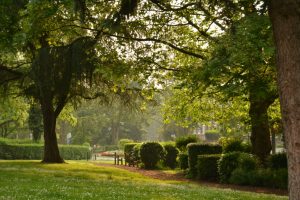 Parque de la Jeunesse