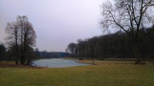 Lago congelado en Tervuren