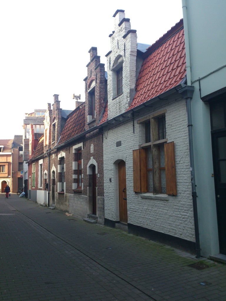 DSC 1409
