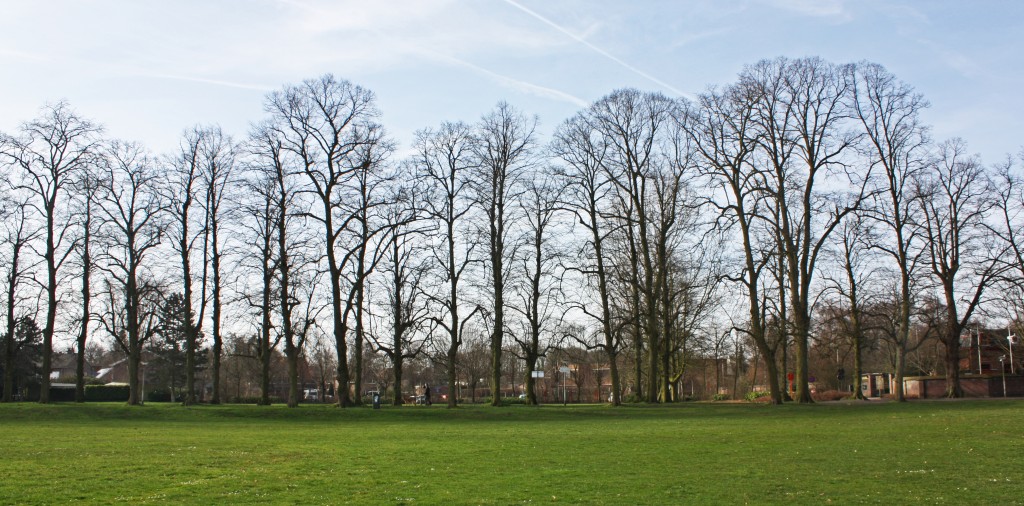 Excursión al parque de Domein Claeys-Bouüaert