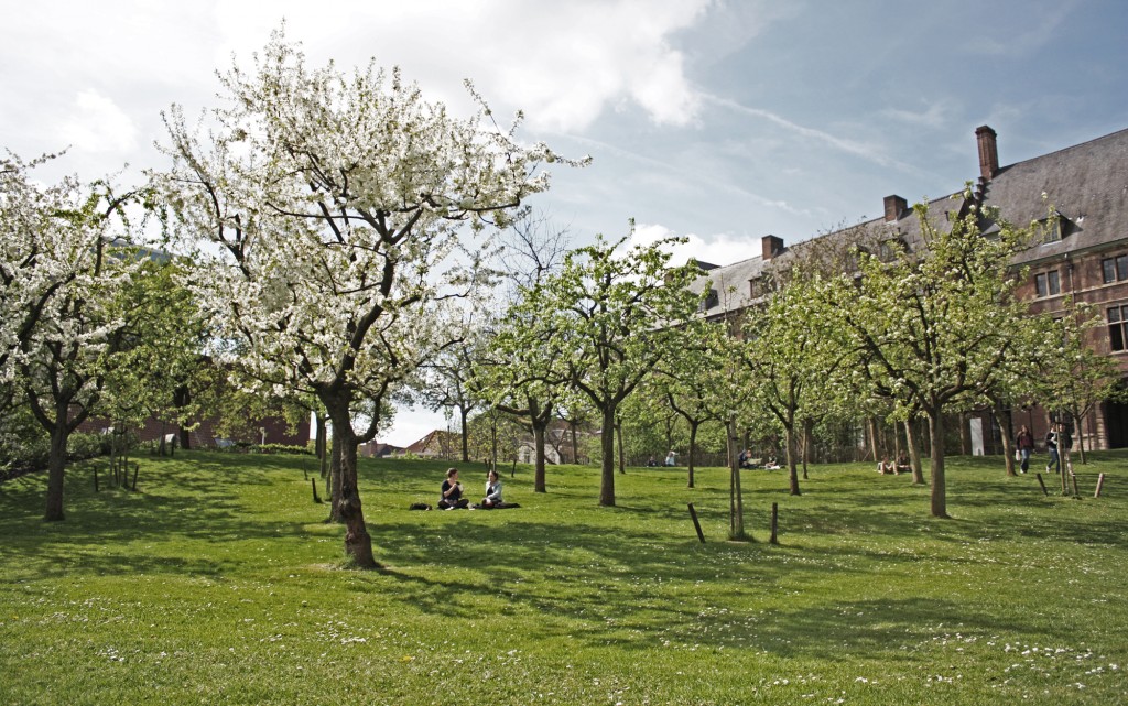 Entrevista a una Erasmus en… el jardín de la abadía de Sint-Pieters (Gante) 