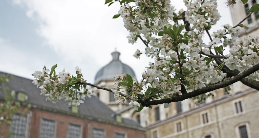 Entrevista a una Erasmus en… el jardín de la abadía de Sint-Pieters (Gante) 