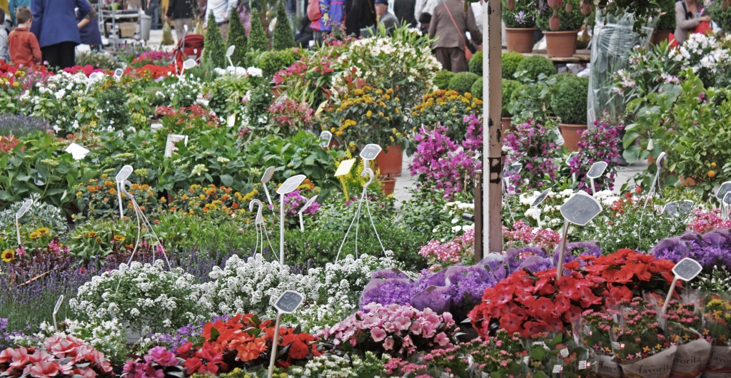 Domingos de libros y flores en Gante