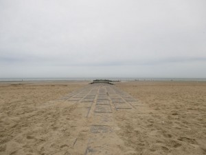 IMG_3102