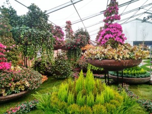 Floralias Gent (2)