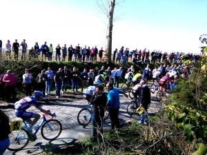 Ronde Van Vlaanderen (1)