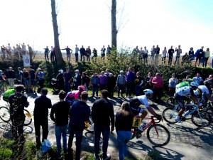 Ronde Van Vlaanderen (4)