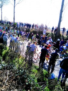 Ronde Van Vlaanderen (5)