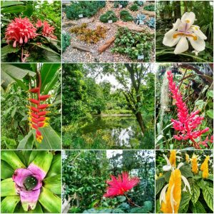 Jardín Botánico (1)