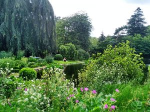 Jardín Botánico (2)