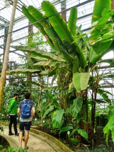 Jardín Botánico (3)