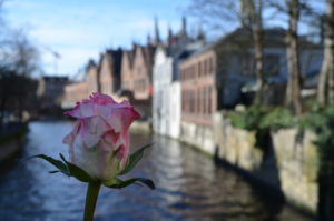 DSC 0094 300x199 Tripday en Brujas