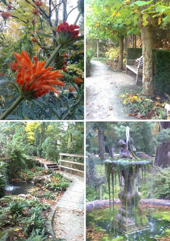 Jardín Botánico1