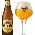 Bush_Blonde_900