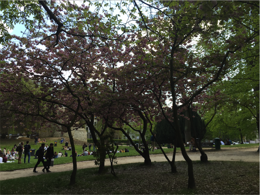 Sint-DonatusPark floreciendo