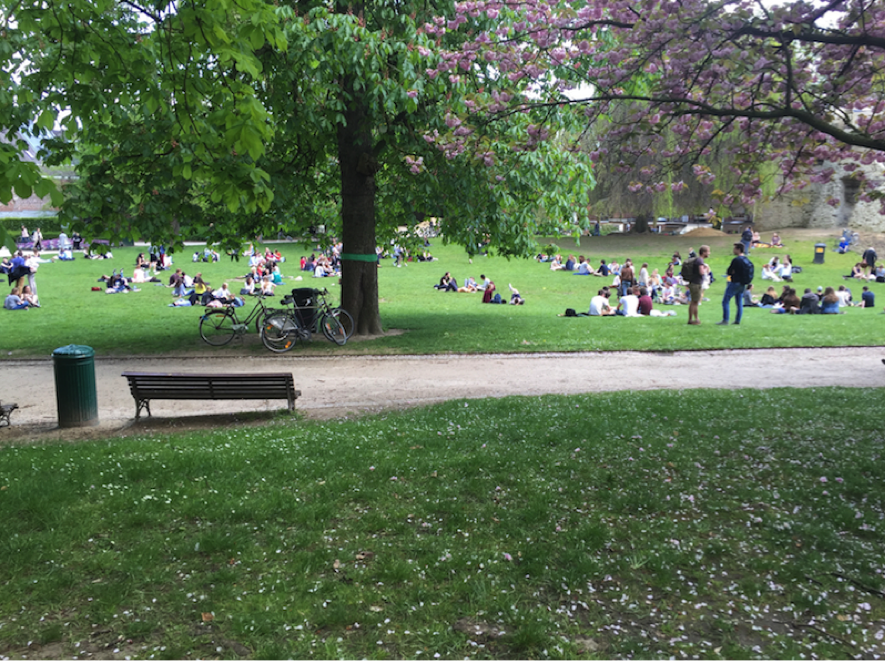 Sint-DonatusPark