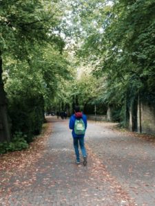 Paseo por parques de brujas