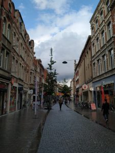 IMG 20190528 160147 225x300 Diestsestraat, la calle...