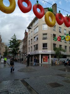 IMG 20190528 160246 225x300 Diestsestraat, la calle...