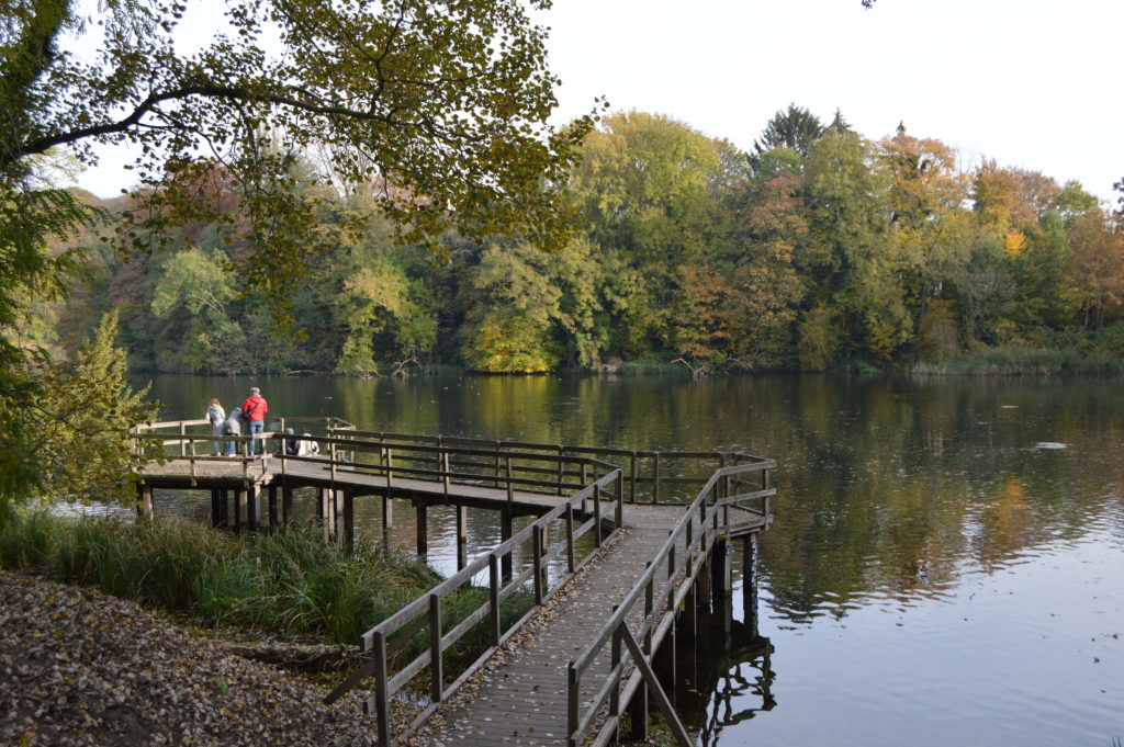 Las orillas del lago del Parc de Tervuren son el rincón perfecto para leer un libro, relajarse y descansar. 