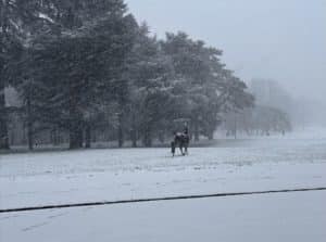 Parque Bois de La Cambre en Invierno