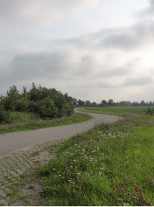 paisaje 2