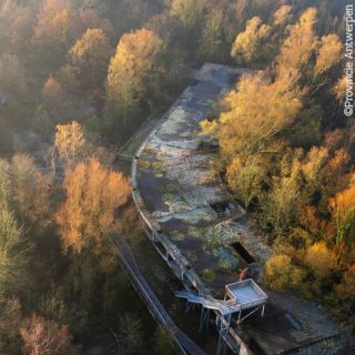 🔎 Una joya escondida en Malinas, Flandes... ¡si es que sabes encontrarla!
El parque Vrijbroek es un pulmón verde de 65 hectáreas a las afueras de Malinas.  Desde el centro histórico de la ciudad, camine hacia Vrijbroekpark para descubrir un hotel fantasma, ruinas misteriosas, arte callejero llamativo y una fauna fascinante. Siga la pintoresca ruta de senderismo para llegar a las ruinas del hotel.
Antaño abandonado, ahora cautivador lugar de exploración urbana, este lugar ofrece un vistazo a un mundo olvidado donde la naturaleza recupera poco a poco la historia. Murciélagos, castores, ciervos y un montón de pájaros encuentran su hogar en los alrededores del hotel.
🚶‍♀️Desa la estación de tren de Malinas, está a 20 minutos a pie. Puedes visitar las ruinas todos los días entre las 10.00 y las 17.00 horas. No es necesario reservar.
👩‍🦽El recorrido es accesible para sillas de ruedas y cochecitos, excepto el mirador. Las cámaras sí permiten ver imágenes del tejado.
📸 Uno de los atractivos de las ruinas del hotel es, sin duda, el arte del grafiti que allí se encuentra.  #flandes #mechelen #malinas #turismoflandesybruselas